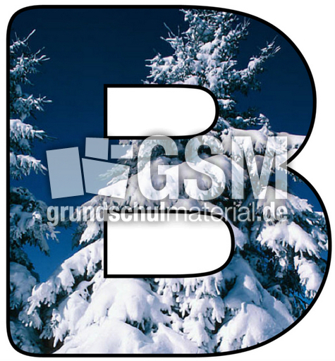 Winter-Buchstabe-B.jpg